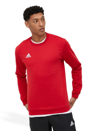 Sweatshirt adidas Originals Sweatshirt Entrada 22 Röd | hb0577