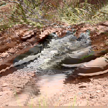 Sneakers och skor adidas Performance adidas TERREX Boty Tracerocker 2.0 GORE-TEX Trail Running Brun | IF0381, 5