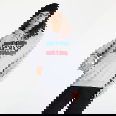 Sweatshirt Levi's ® Graphic Standard Hoodie Grå | 18487-0059, 0