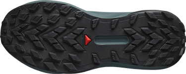 Sneakers och skor Salomon Salomon GENESIS GTX Grå | l47589000, 4