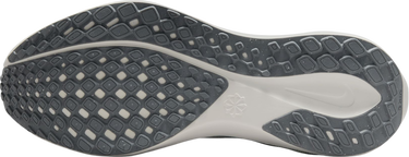 Sneakers och skor Nike Pegasus 41 Grå | fd2723-007, 4