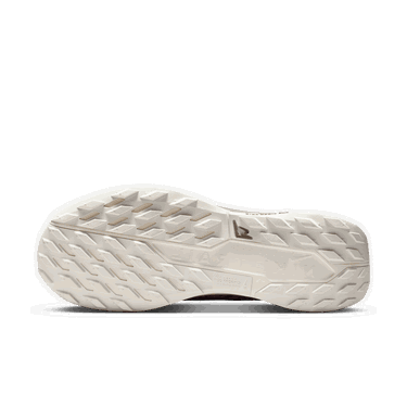 Sneakers och skor Nike Pegasus Trail 5 GORE-TEX SP Brun | HQ7494-200, 3