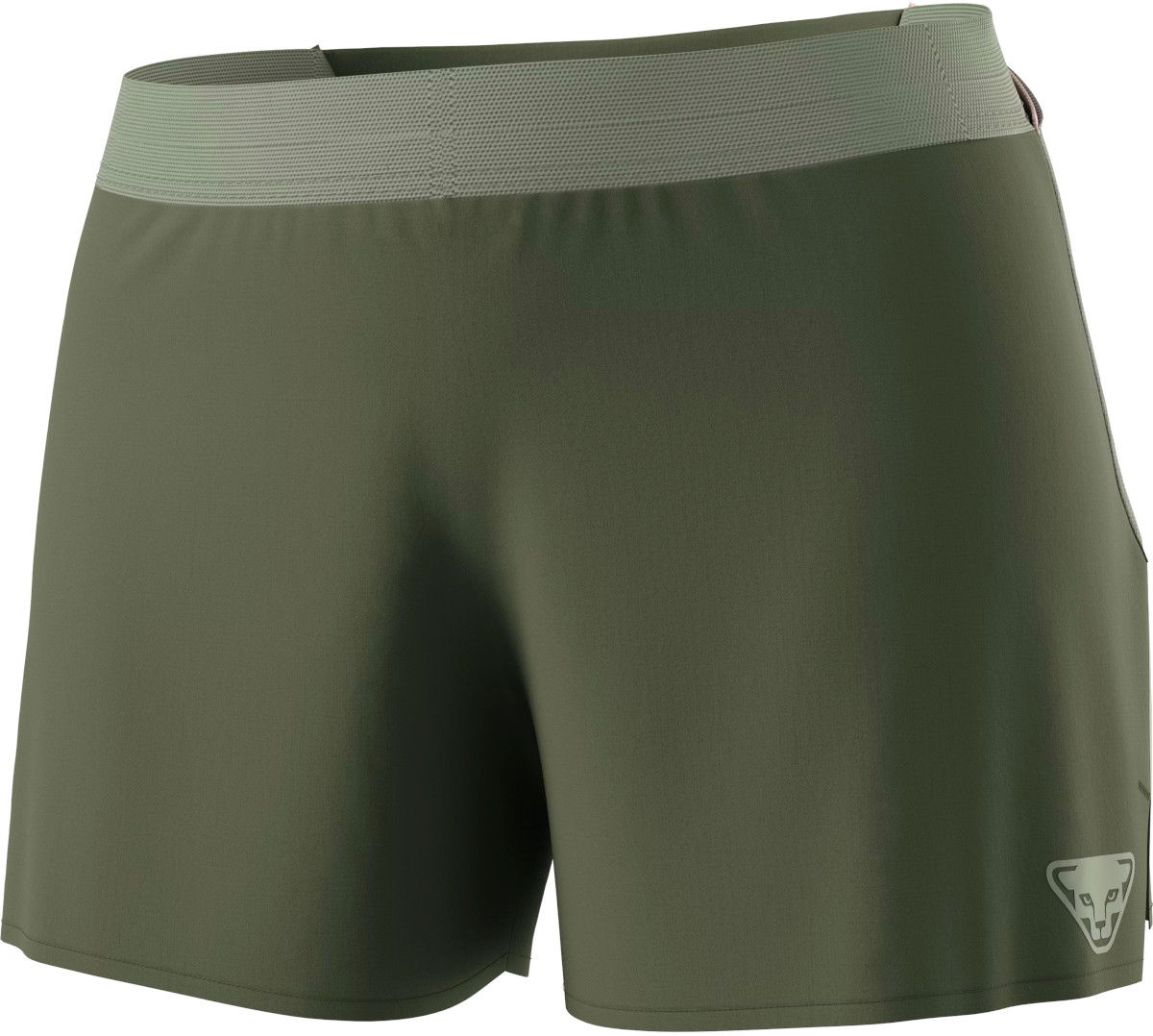 Shorts Dynafit SKY Shorts Grön | 08-0000071654-5561, 1