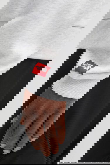 Sweatshirt The North Face Redbox Celebration Hoodie Grå | NF0A8EFZE041, 3