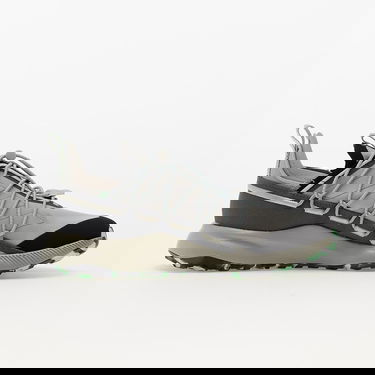 Sneakers och skor adidas Performance TERREX Voyager 21 Grå | GX8675, 1