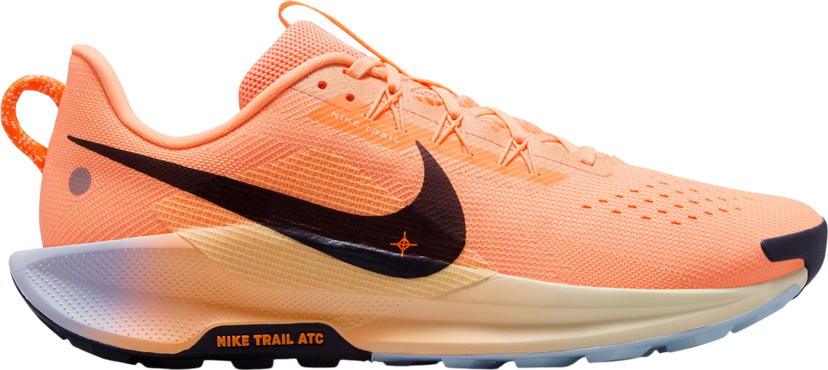 Sneakers och skor Nike Pegasus Trail 5 Orange | dv3864-800