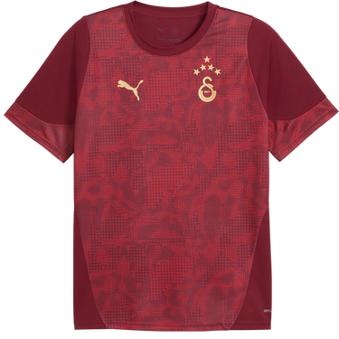Jersey Puma Galatasaray Istanbul Patterned DRYCELL Training Jersey Bourgogne | 949105-003, 0