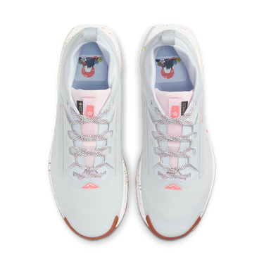 Sneakers och skor Nike Pegasus Trail 5 GORE-TEX Vit | FQ0912-007, 1