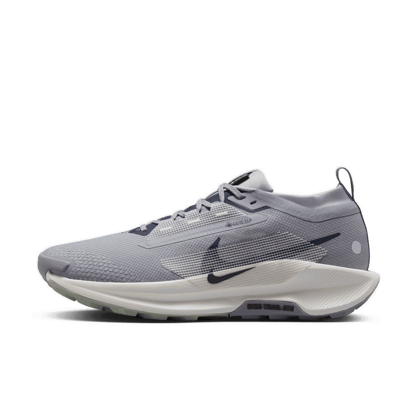 Löpning Nike Pegasus Trail 5 GORE-TEX Grå | FQ0908-006