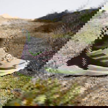 Sneakers och skor adidas Performance Terrex Free Hiker 2.0 Purpur | IE5119, 3