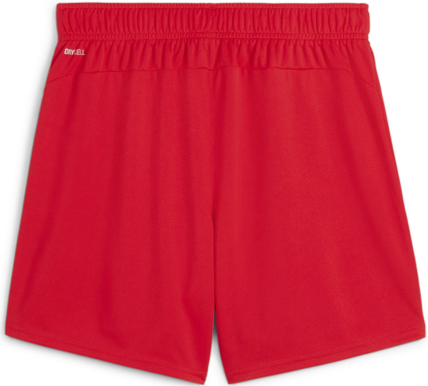 Shorts Puma teamGOAL Shorts Wmns Röd | 705754-01, 1