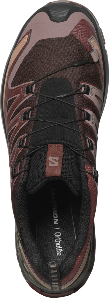 Sneakers och skor Salomon XA PRO 3D V9 GTX Brun | l47583500, 4
