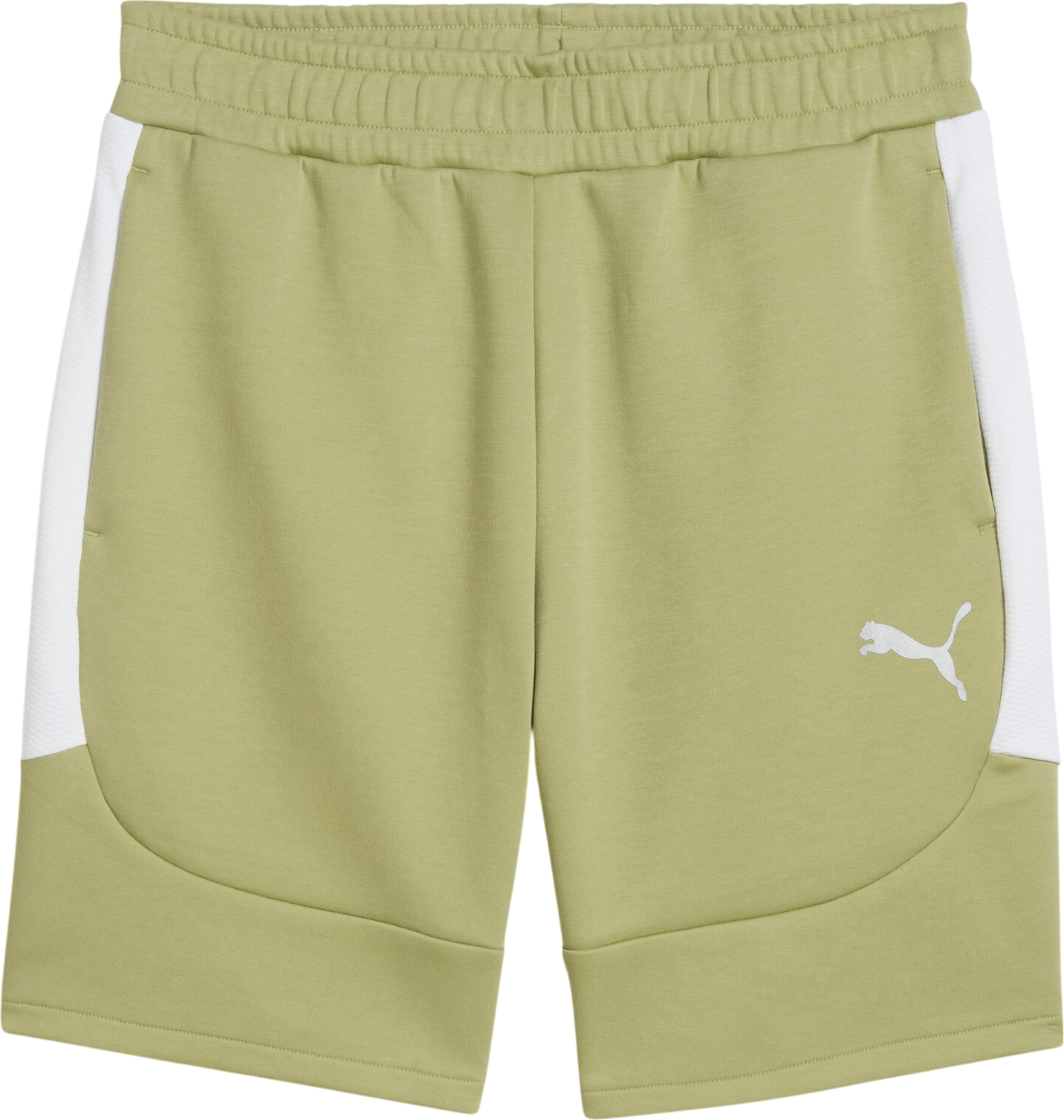 Shorts Puma Puma teamEvostripe Shorts Grön | 659951-40, 0