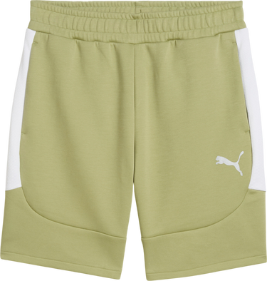 Shorts Puma Puma teamEvostripe Shorts Grön | 659951-40, 0