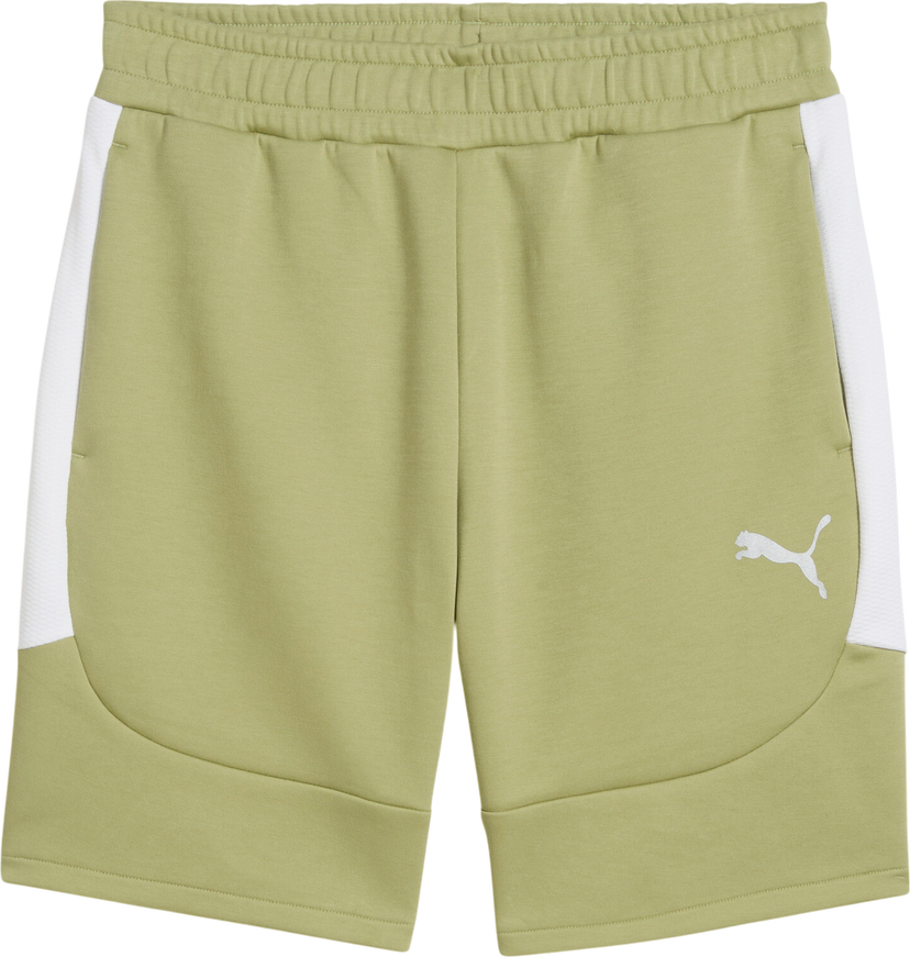 Shorts Puma Puma teamEvostripe Shorts Grön | 659951-40
