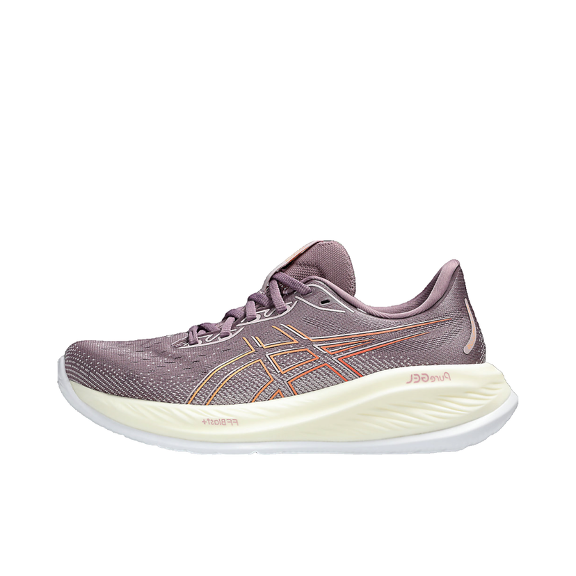 Löpning Asics GEL-CUMULUS Purpur | 1012b599-501