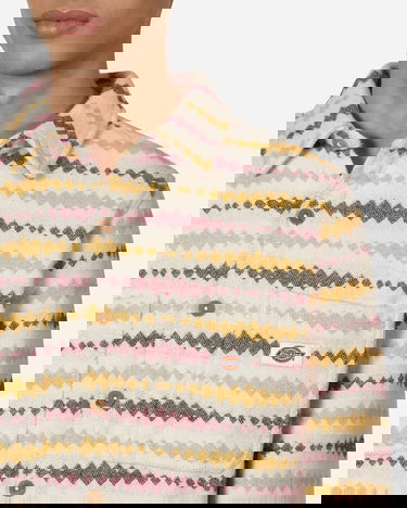 Skjorta Dickies Falkville Shirt Beige | DK0A4XZY ECR1, 5