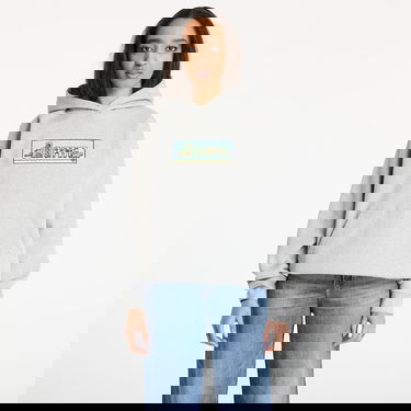 Sweatshirt Dime DIME World Hoodie Grå | DIMEHO2445GRY, 1