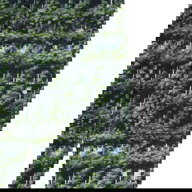 Cargo byxor Pleasures Natural Cargo Pants Multi Grön | P23SP038-MULTI, 9