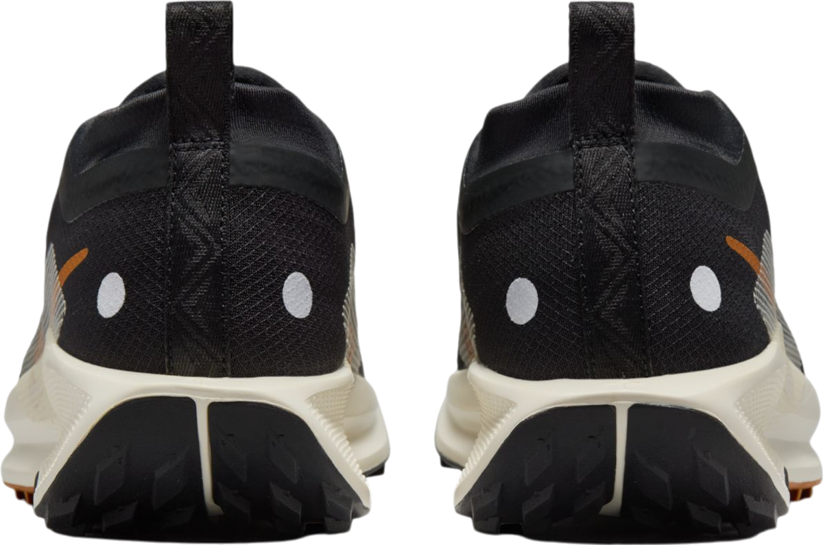 Sneakers och skor Nike Pegasus Trail 5 GORE-TEX Svart | fq0912-005, 1