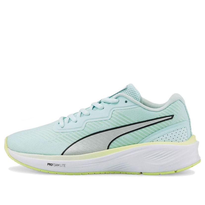 Sneakers och skor Puma Aviator ProFoam Sky Grön | 376615-08