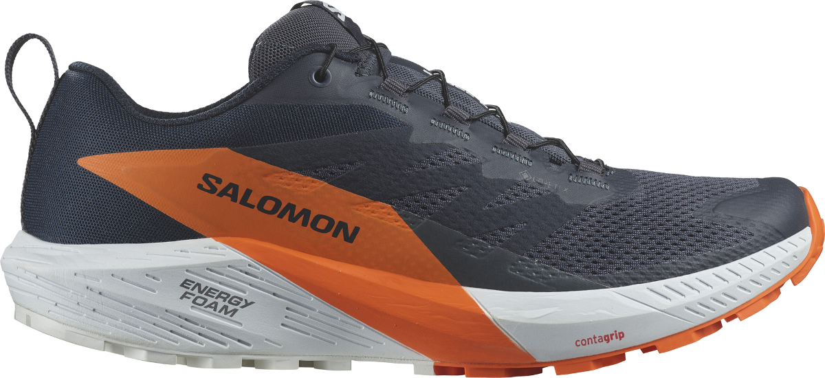 Sneakers och skor Salomon SENSE RIDE 5 GTX Svart | l47459400, 0