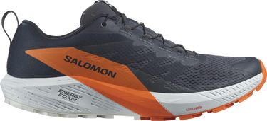 Sneakers och skor Salomon SENSE RIDE 5 GTX Svart | l47459400, 0