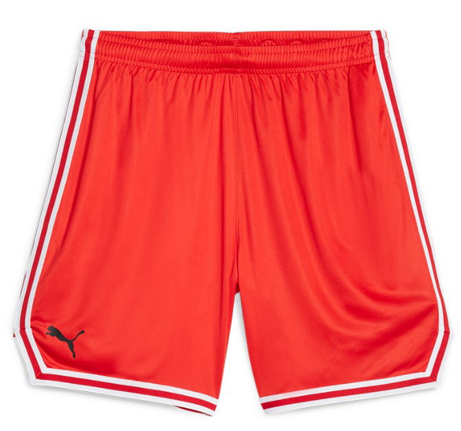 Shorts Puma Hoops Team Game Short Röd | 676629-04, 0