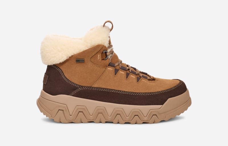 Sneakers och skor UGG TerreTrail Cozy Lace Boot Brun | 1158210-CHE