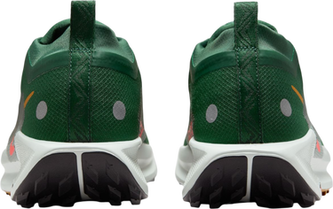 Sneakers och skor Nike Pegasus Trail 5 GORE-TEX Grön | fq0908-301, 1