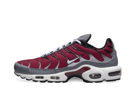 Livsstil Nike Air Max Plus M Flerfärgad | DQ3983-600