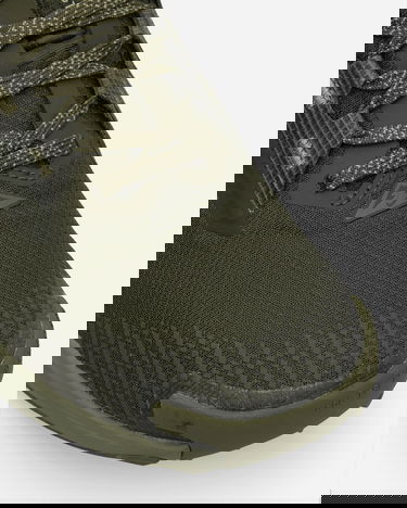 Sneakers och skor Nike Pegasus Trail 5 GORE-TEX Grön | HQ7494-300, 6