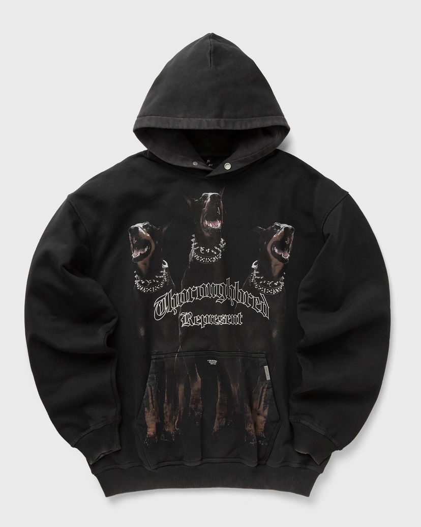 Sweatshirt Represent Clo Represent THOROUGHBRED HOODIE Svart | MLM498-03