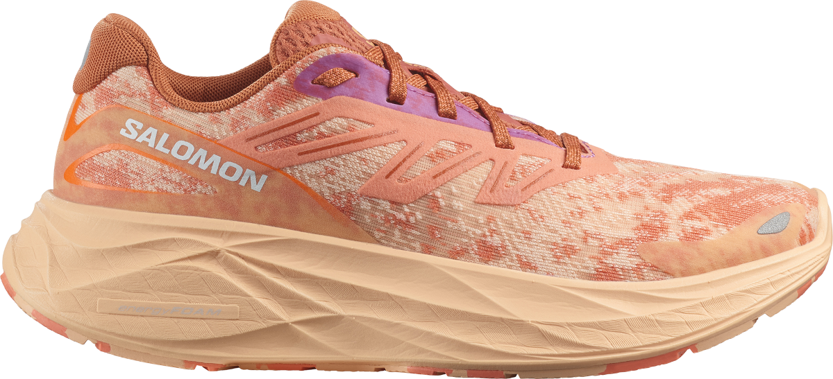 Sneakers och skor Salomon AERO GLIDE 2 W Beige | l47426600, 0