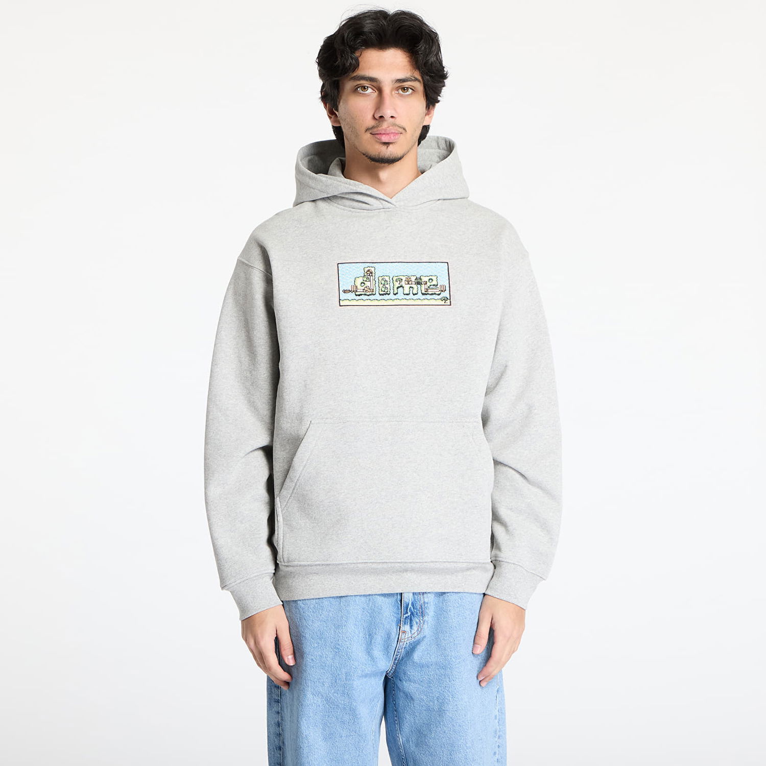 Sweatshirt Dime DIME World Hoodie Grå | DIMEHO2445GRY, 0