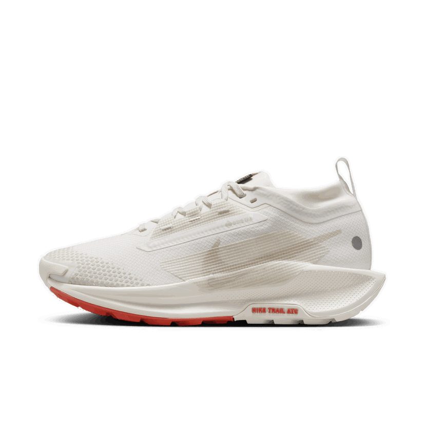 Löpning Nike Pegasus Trail 5 GORE-TEX Vit | FQ0912-100