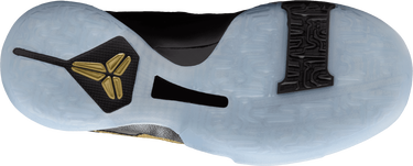 Sneakers och skor Nike Kobe V Purpur | HM3753, 2