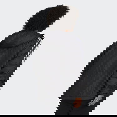 Jacka adidas Originals Essentials Insulated Hooded Jacket (plus size) Svart | GT9135, 1