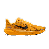 Air Zoom Pegasus 41