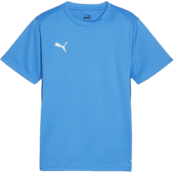T-shirt Puma teamGOAL T-Shirt Turkos | 658636-02