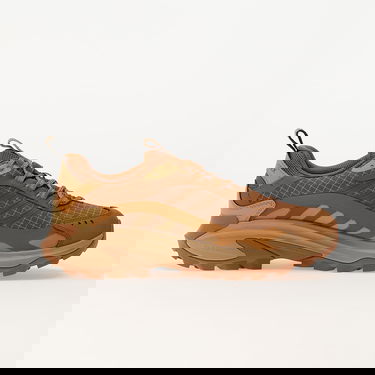 Sneakers och skor Merrell 1TRL Moab Speed 2 Gtx Bl Se Spice Brun | J006653, 2