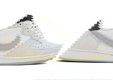 Sneakers och skor Nike Terminator Low "Liberté" Grå | FJ4207-001, 1