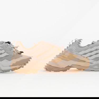 Sneakers och skor adidas Performance Terrex Skychaser GTX Beige | JS4611, 4