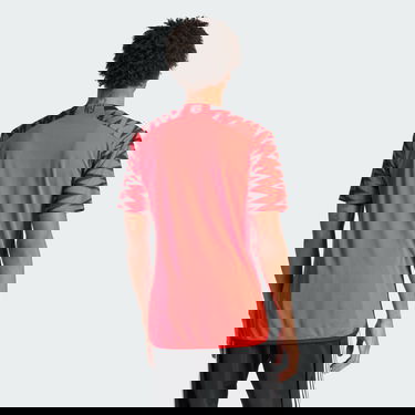 Jersey adidas Performance New York Red Bulls 24/25 Röd | HZ6201, 2