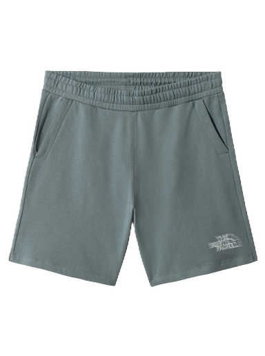 Shorts The North Face Coordinates Shorts Grå | NF0A7R58A9L