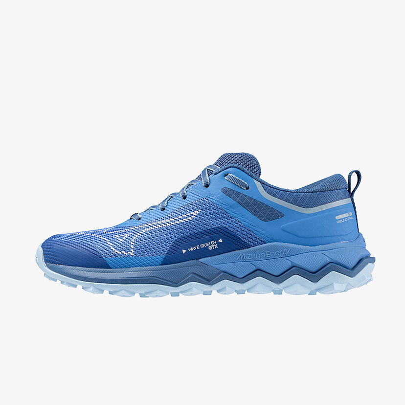 Löpning Mizuno Wave Ibuki 4 GTX Blå | J1GK225982
