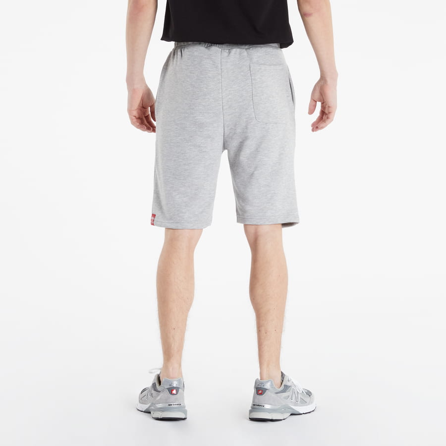 Shorts Alpha Industries Basic Short AI Grå | 116364 17 grey, 1