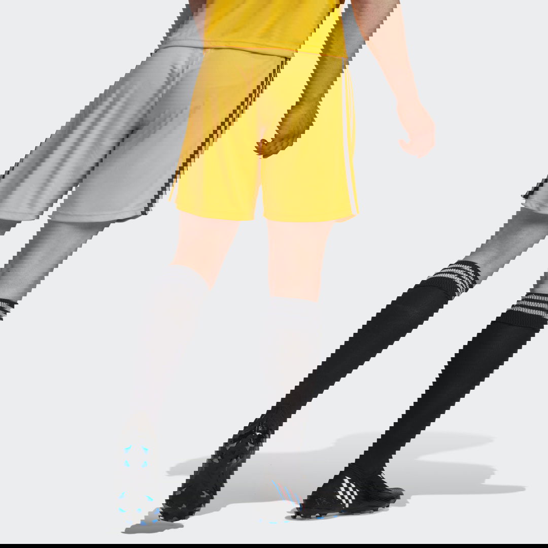 Shorts adidas Performance Benfica 22/23 Shorts Gul | HK0333, 1