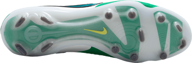 Sneakers och skor Nike LEGEND 10 ELITE FG LV8 Grön | hj7272-300, 2