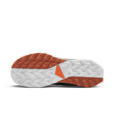 Sneakers och skor Nike Wildhorse 8 Grå | DR2686-005, 1